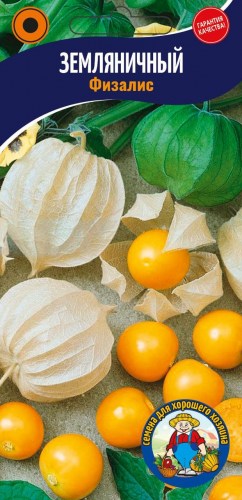 ФИЗАЛИС декоративный