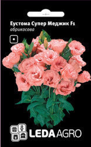 2195725756_w238_h250_semena-eustoma-super