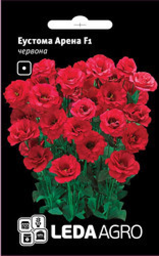 2597730804_w640_h640_semena-eustoma-arena